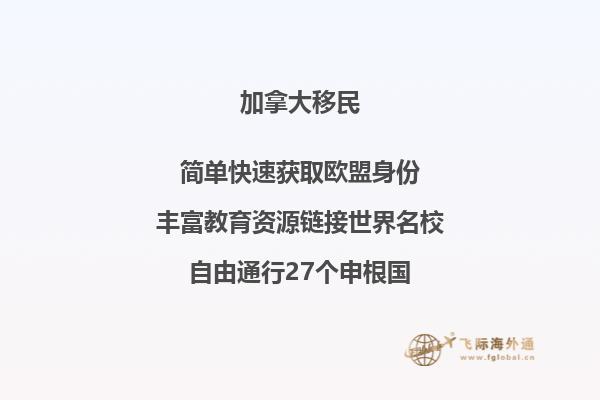 打开的书