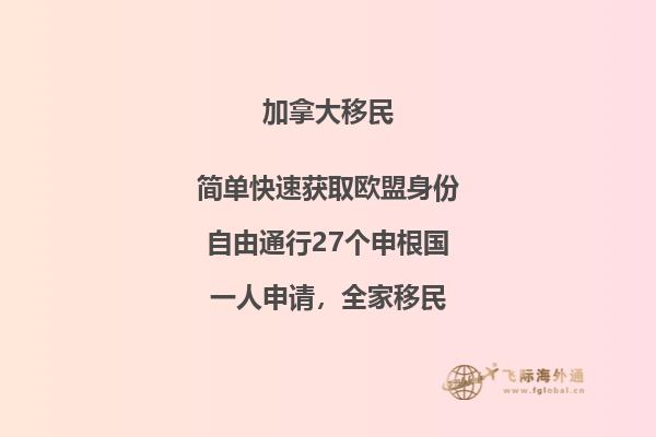 雪地里的两张长椅