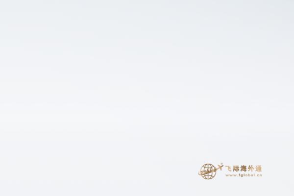 一只手拿着枫叶