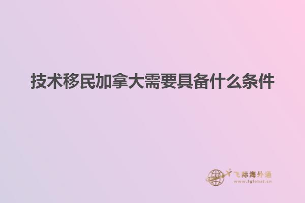 加拿大国旗在空中飘扬