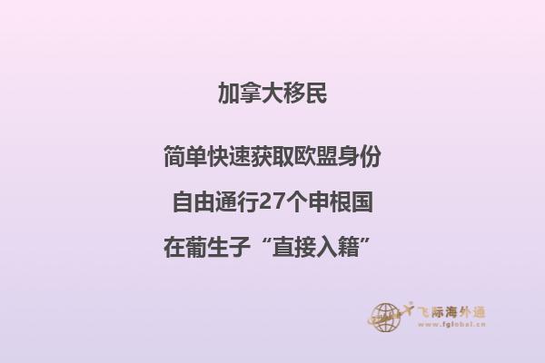 一只手拿着一个玻璃球看城市建筑