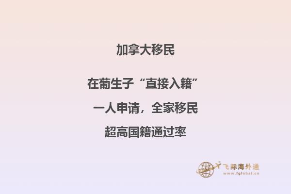 天空下的向日葵