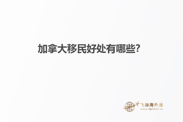 城堡类型的房子