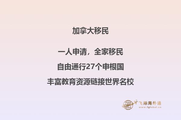 湖边一把红色的椅子