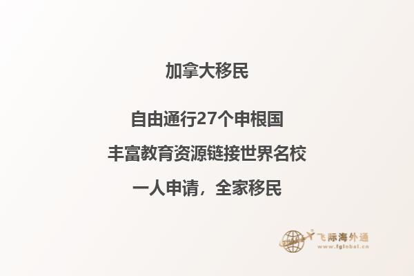 未化的雪上有一片黄色的叶子