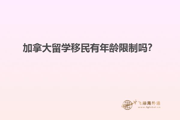 沙滩上一把坏掉的白色椅子