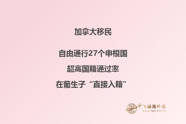 雪山附近的房屋