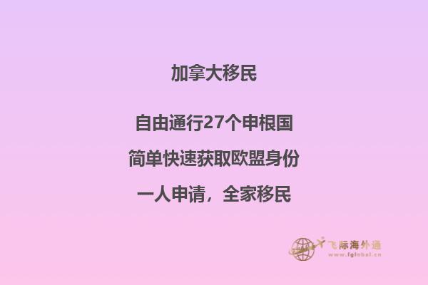晚上的路灯