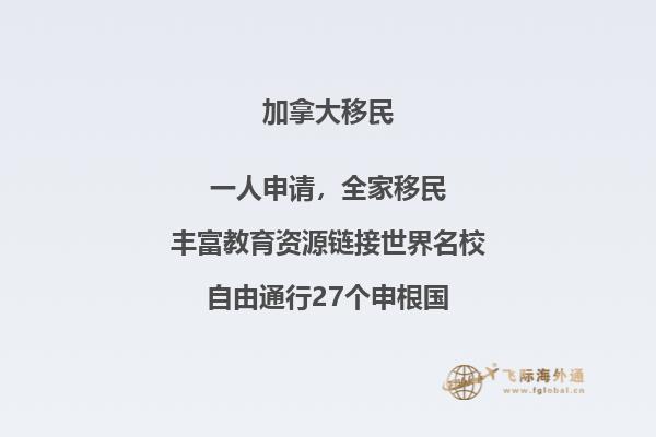 林荫公路