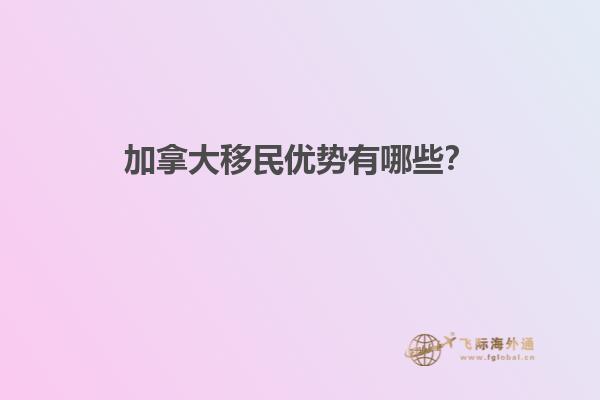 紫色花田