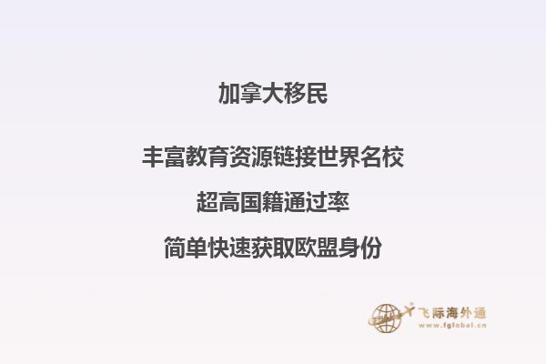 被雪覆盖的山峰