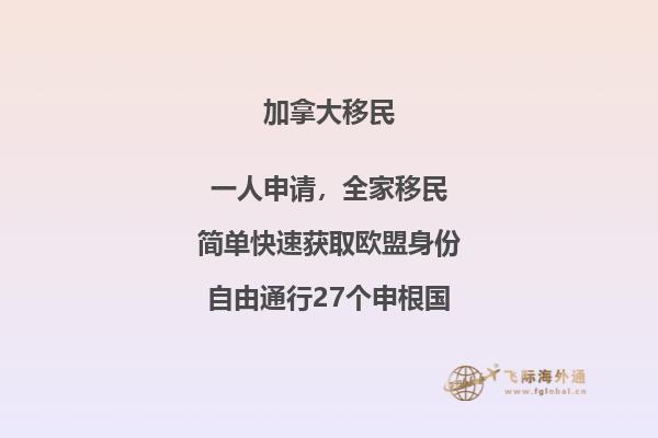 河流、石头和树林
