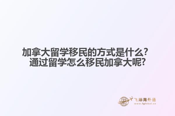 山水和石头