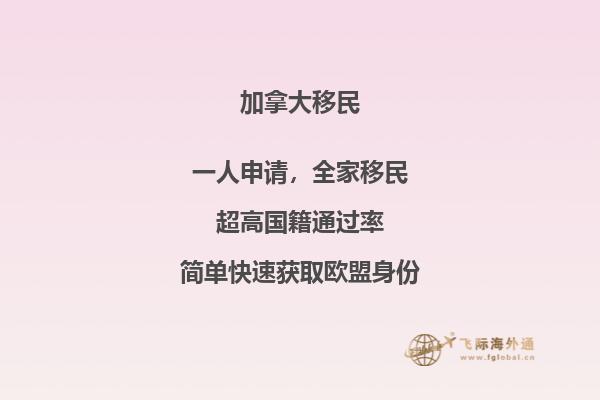 晚上河流两边的树林