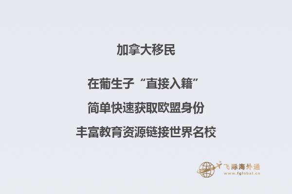 晚上河流两边的树林