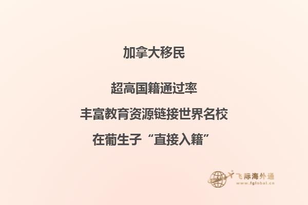 一个透明玻璃珠