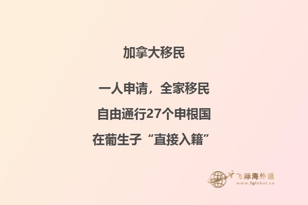 沙滩上的一个小船