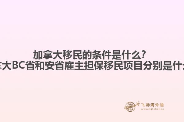 公路边的树林和湖泊