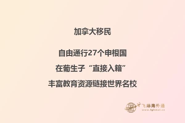 土石围墙和一棵树