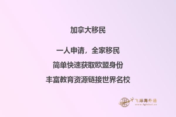森林里的建筑
