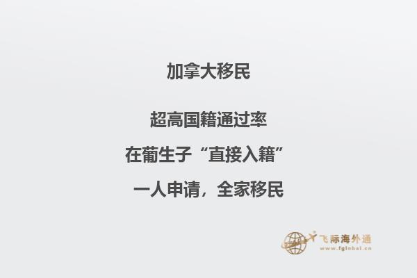 水井上的圆形顶棚