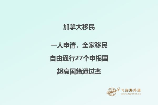 墙壁上爬满了绿藤