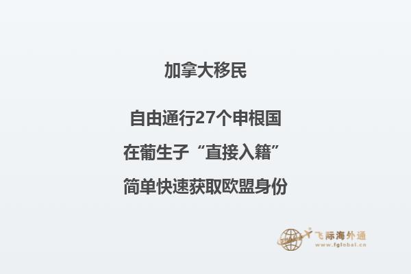 湖面和树林