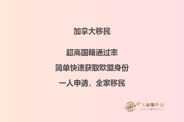 树木环绕的建筑