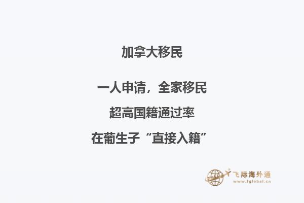 带台阶的高楼建筑