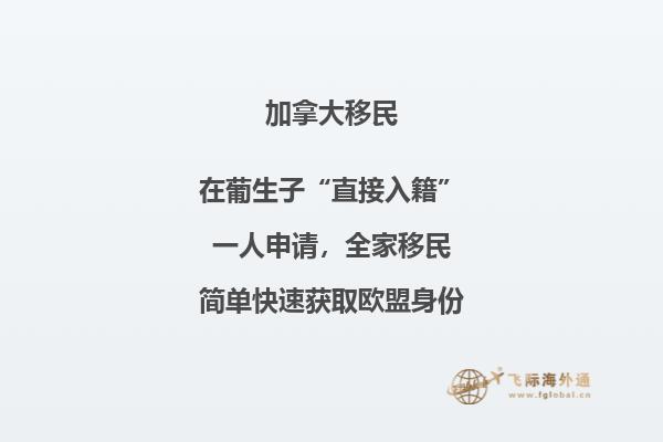 密集的城市建筑