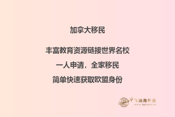 建筑旁的树林