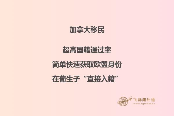 建筑前的草坪