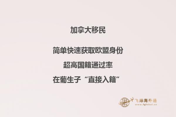 山顶上的城堡