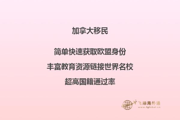 通向湖中心的木桥