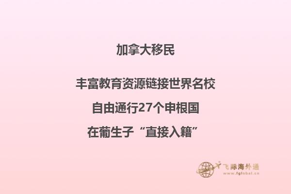 树上的花和远处的楼宇