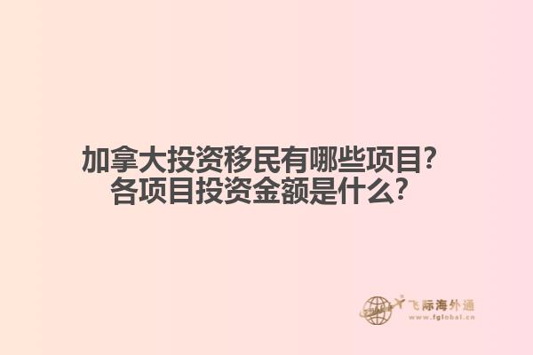 蓝天下的草坪