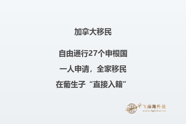 沙滩上的菠萝
