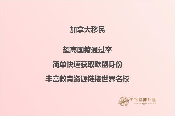 晚霞的海景图