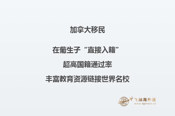 水面上的桥