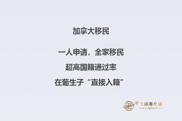 沙滩上女孩的背影
