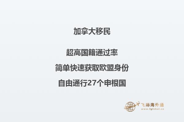 树林