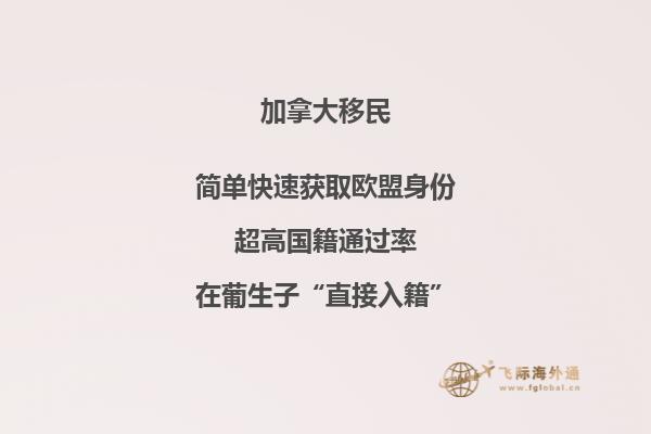 晚上灯火通明的城堡建筑