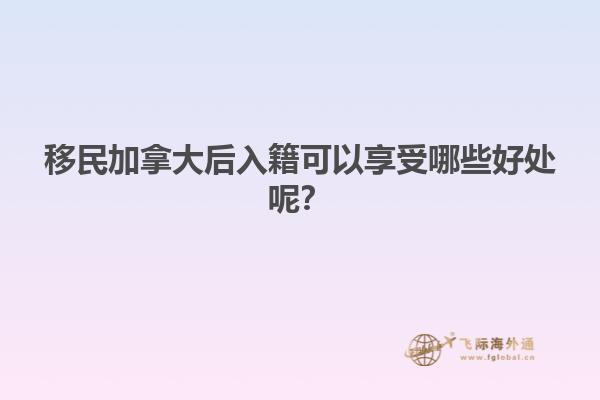森林里的建筑屋顶