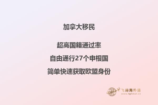 旗子迎风飘扬