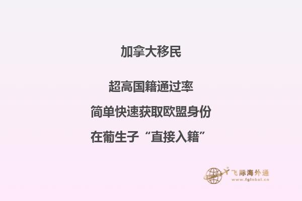 河滩风景