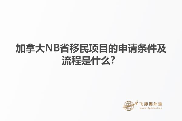 加拿大NB省移民项目的申请条件及流程是什么？