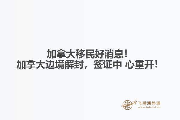 草地上的枫叶