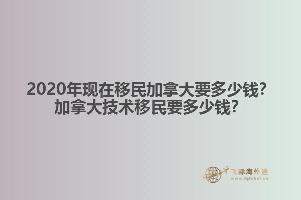 树边的自行车