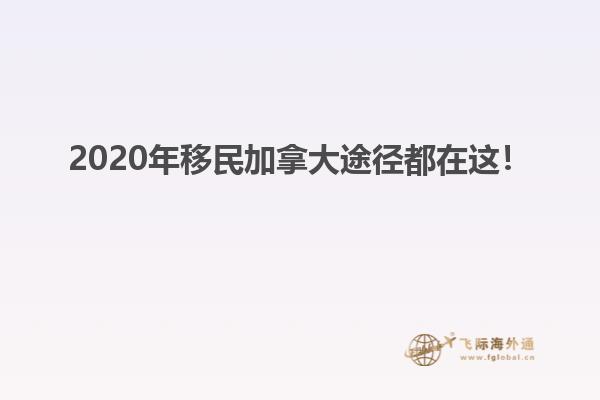 2020年移民加拿大途径都在这！