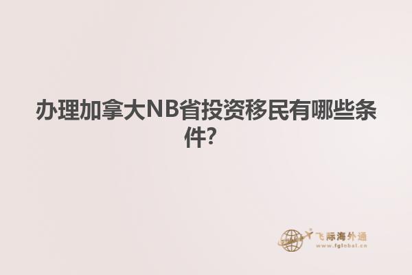 办理加拿大NB省投资移民有哪些条件？